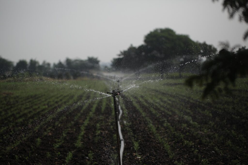 sprinkler, irrigation, water management, agriculture, water conservation, sustainability, farmland, sprinkler, sprinkler, sprinkler, sprinkler, sprinkler, irrigation, irrigation, irrigation, irrigation, water management, water management